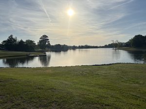 Wildbriar lake community in Starkville, MS