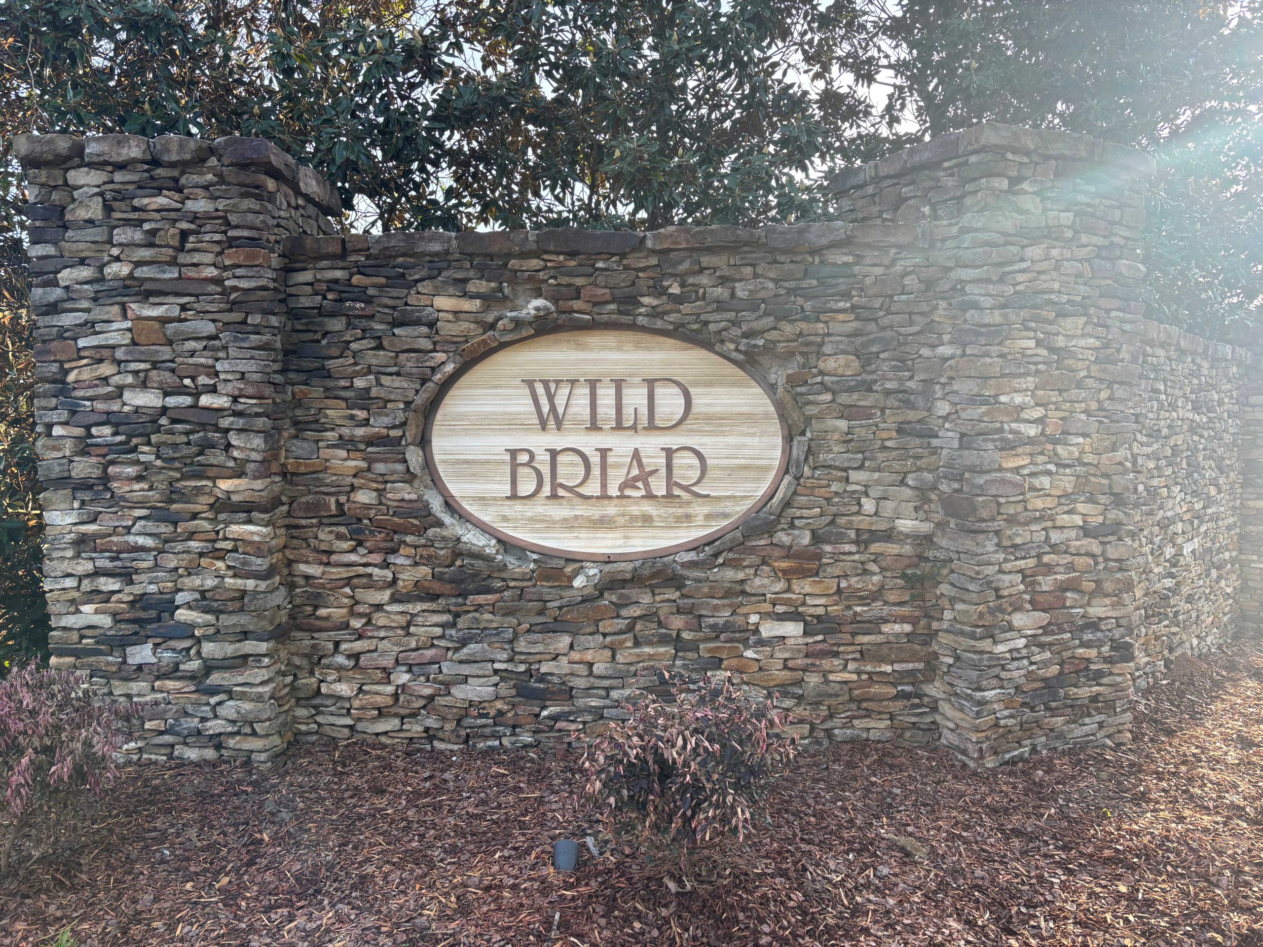 Wildbriar in Starkville, MS